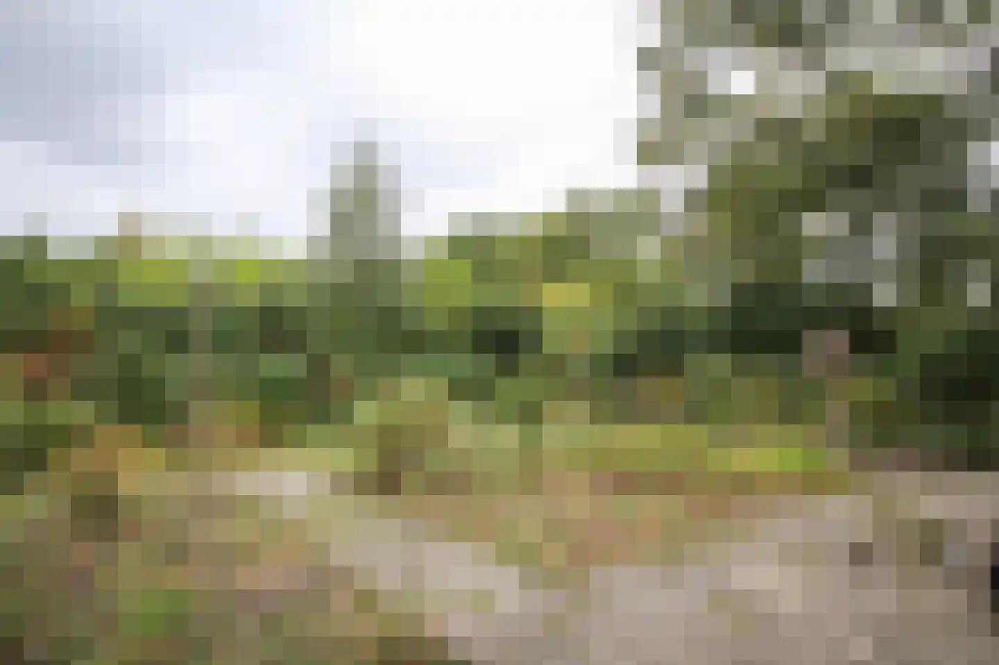 Oude Prinsenweg 16 85 Putten thumbnail 61