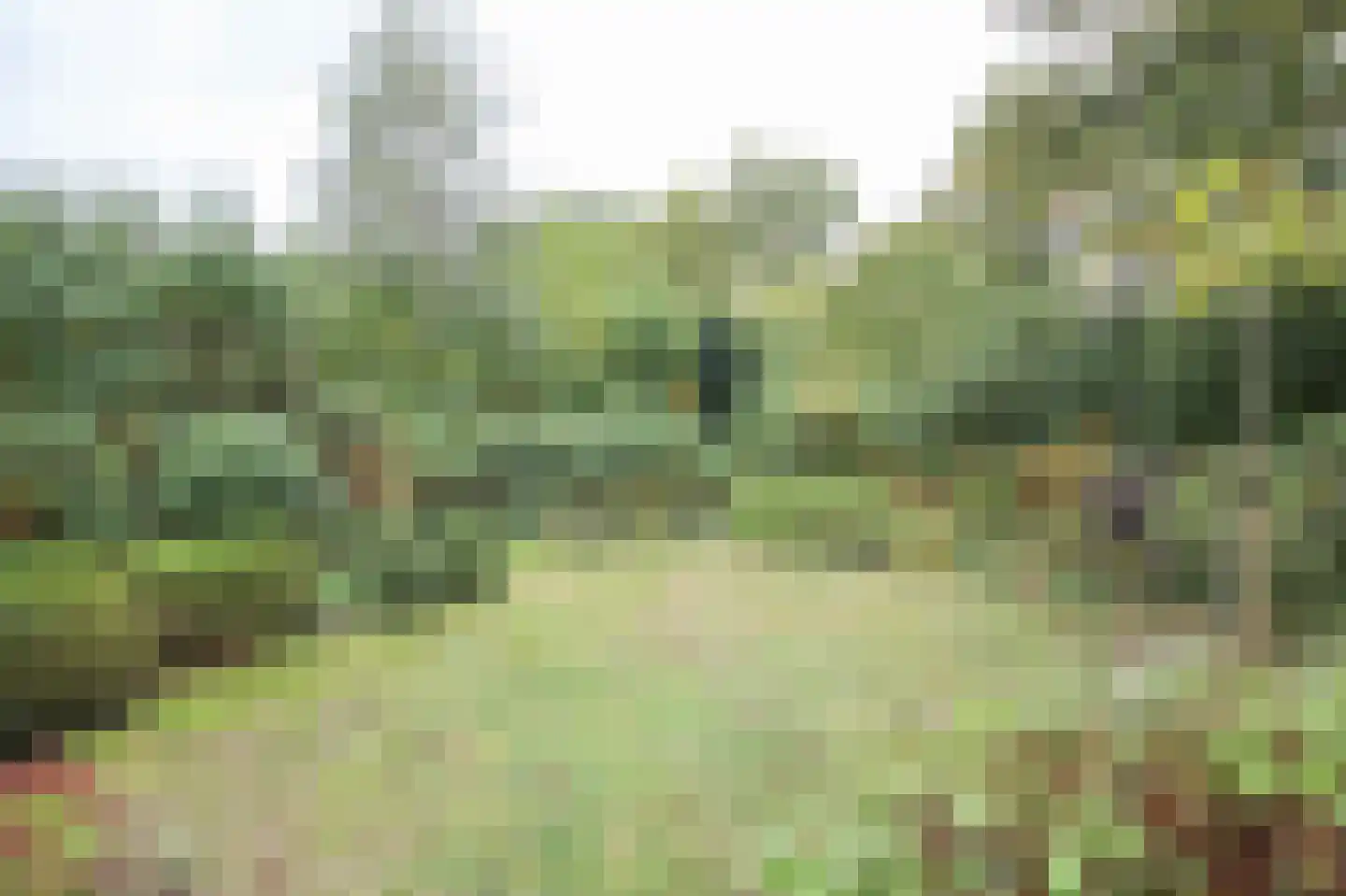 Oude Prinsenweg 16 85 Putten thumbnail 62