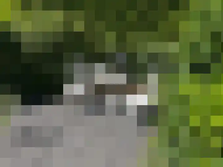 Oude Prinsenweg 16 91 Putten thumbnail 18