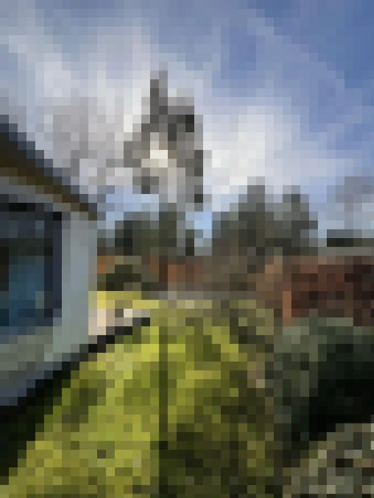 Oude Prinsenweg 16 93 Putten thumbnail 10