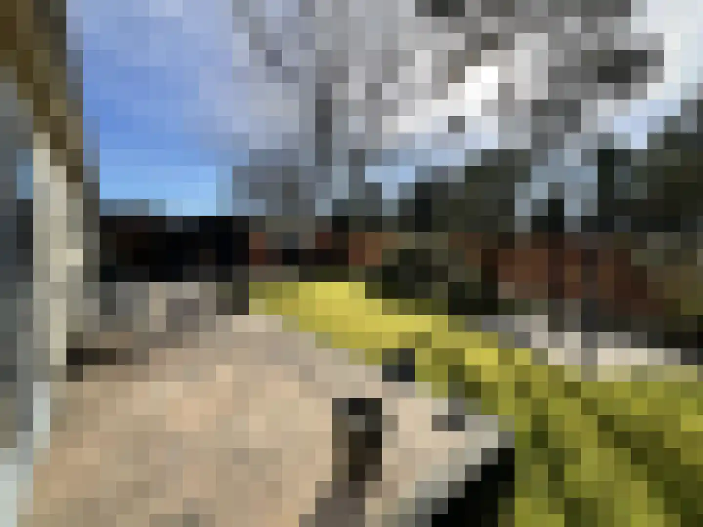 Oude Prinsenweg 16 93 Putten thumbnail 11