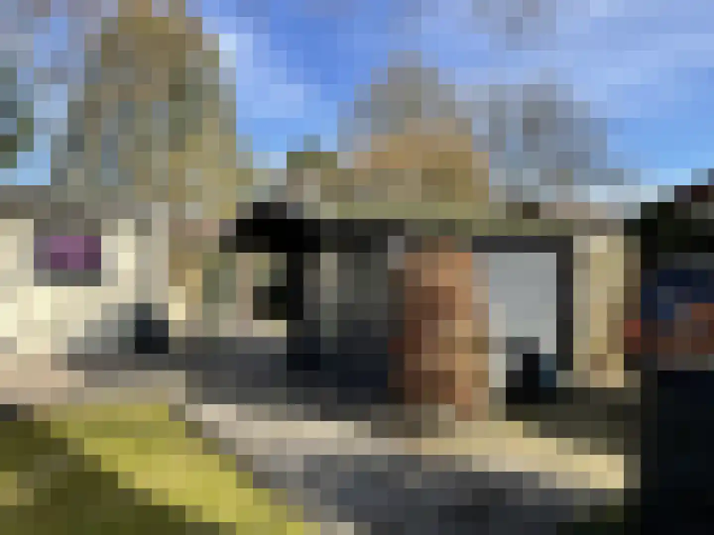 Oude Prinsenweg 16 93 Putten thumbnail 14