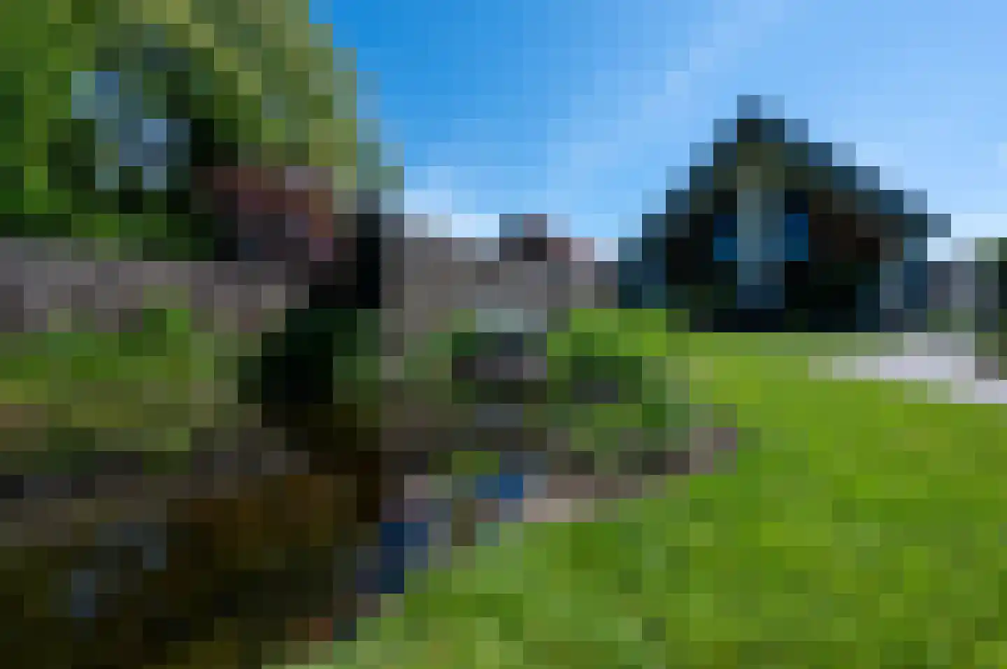 Oude Prinsenweg 22 Putten thumbnail 4