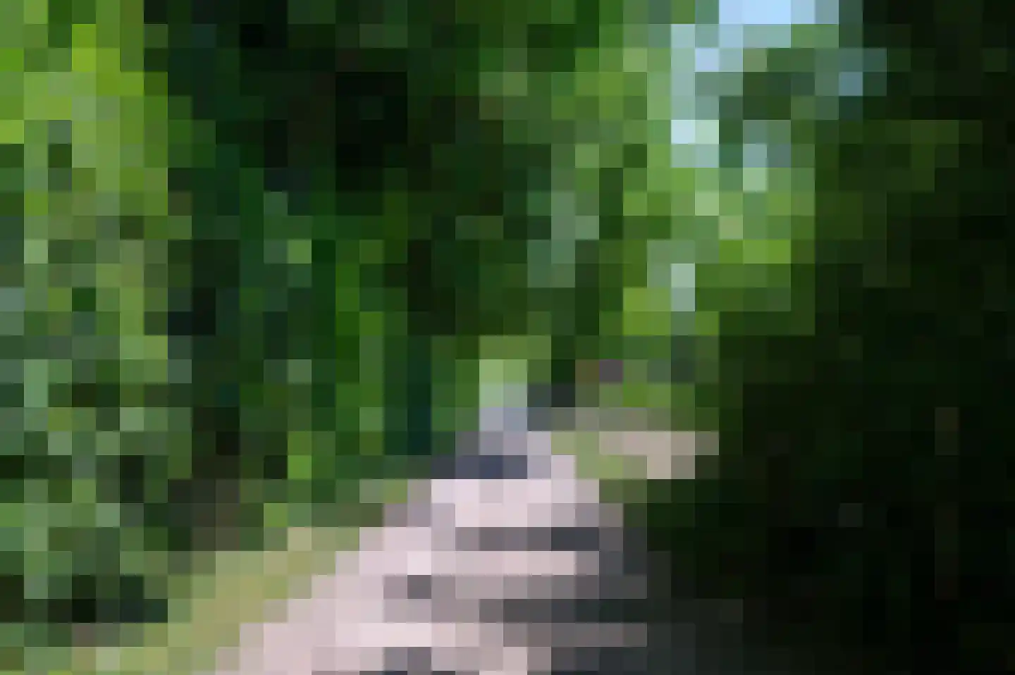 Oude Prinsenweg 22 Putten thumbnail 80