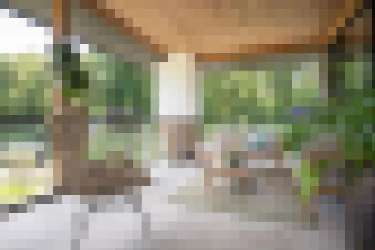 Oude Prinsenweg 32 Putten thumbnail 15