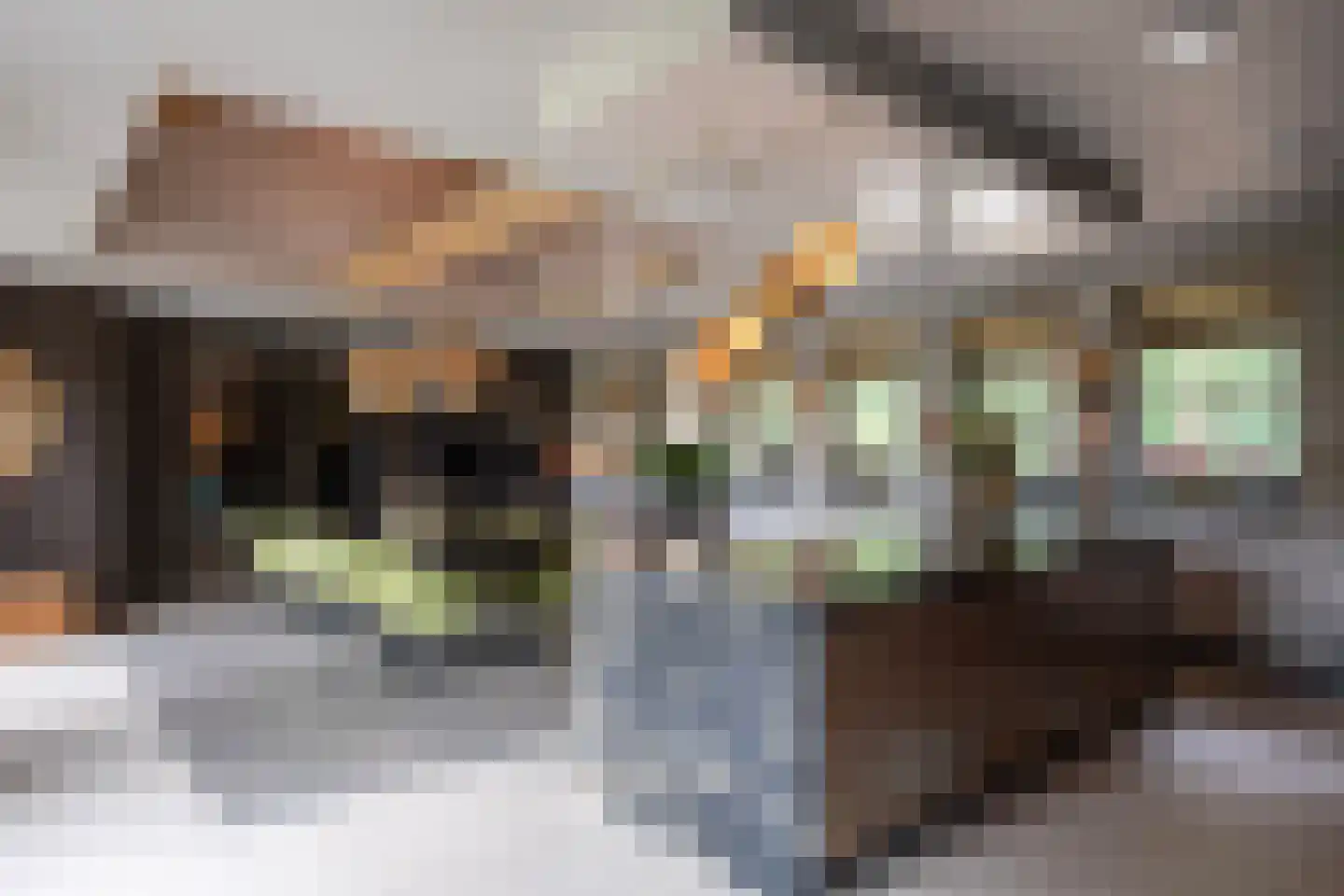 Oude Prinsenweg 32 Putten thumbnail 28