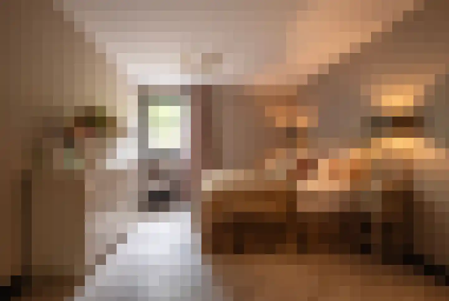 Oude Prinsenweg 32 Putten thumbnail 38