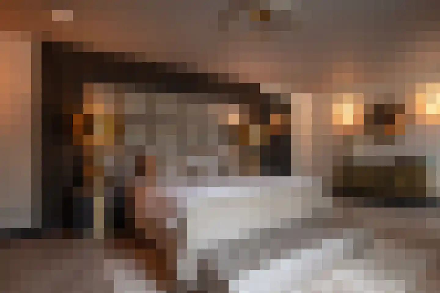 Oude Prinsenweg 32 Putten thumbnail 43