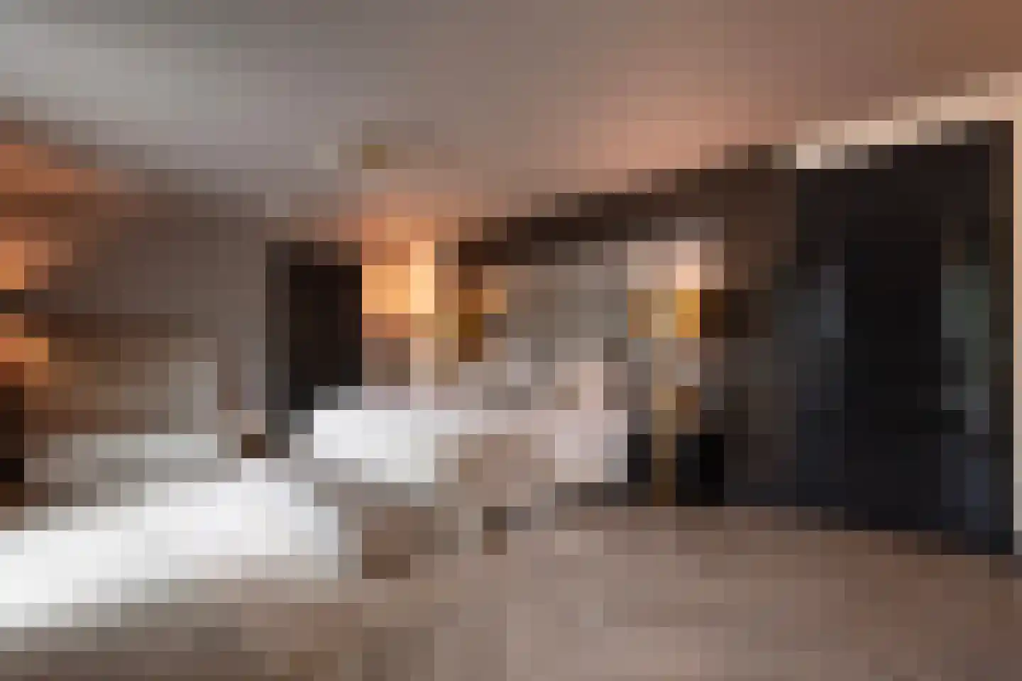 Oude Prinsenweg 32 Putten thumbnail 44