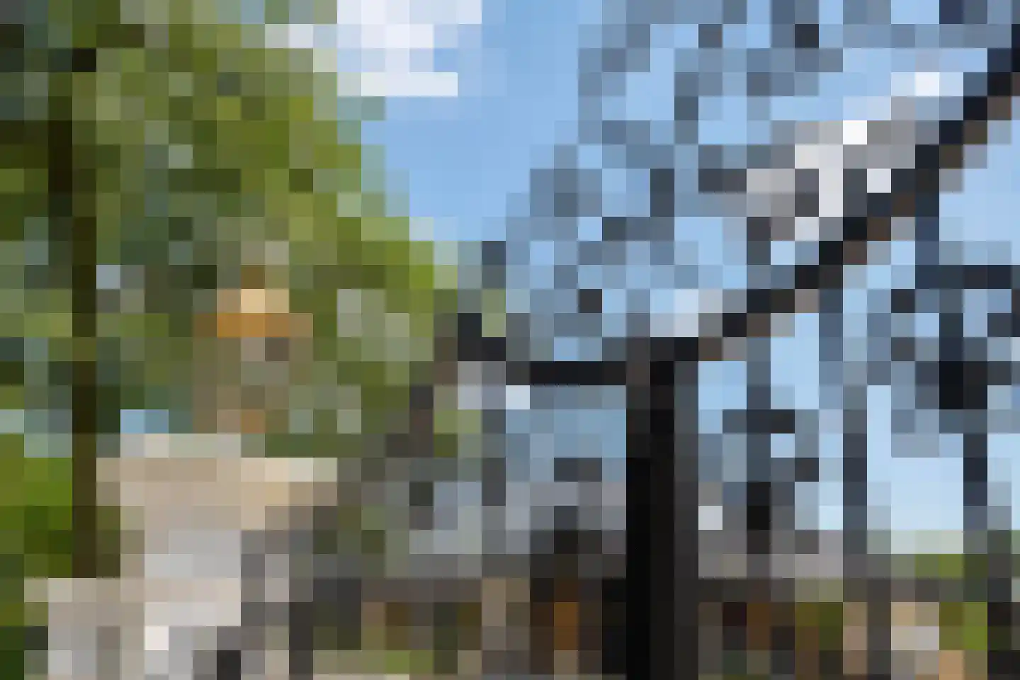 Oude Prinsenweg 32 Putten thumbnail 61