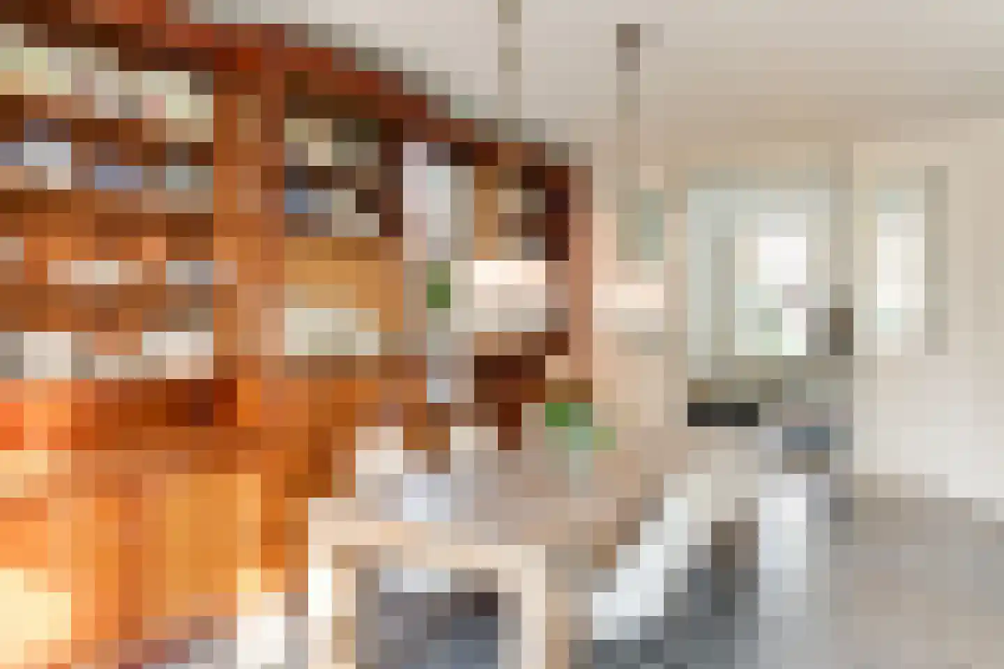 Oude Prinsweg 19 Bergen (NH) thumbnail 11