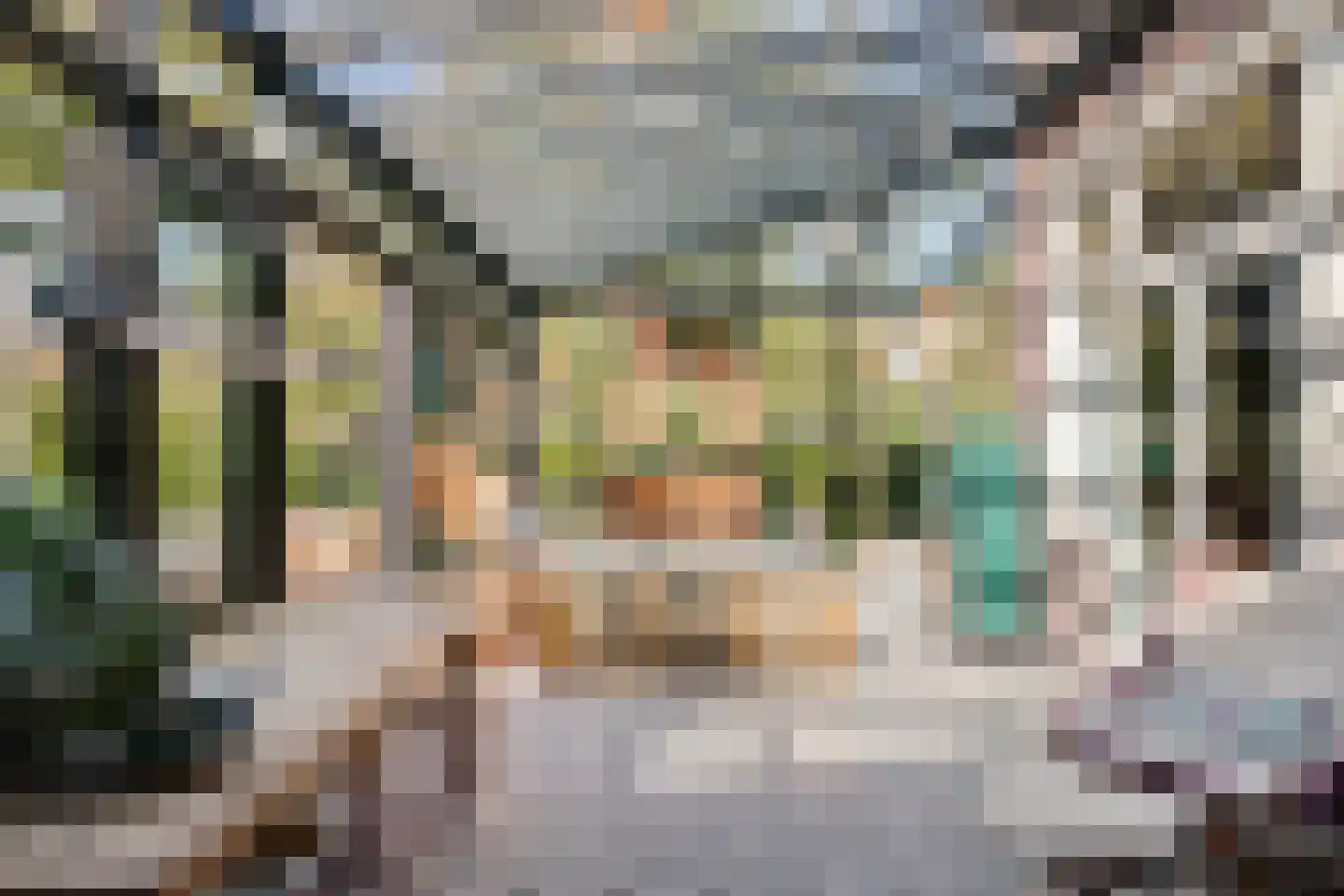 Oude Prinsweg 19 Bergen (NH) thumbnail 18