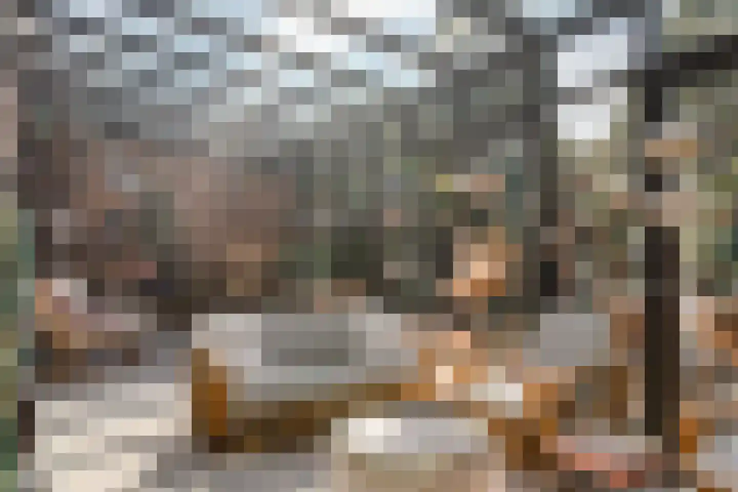 Oude Prinsweg 19 Bergen (NH) thumbnail 22