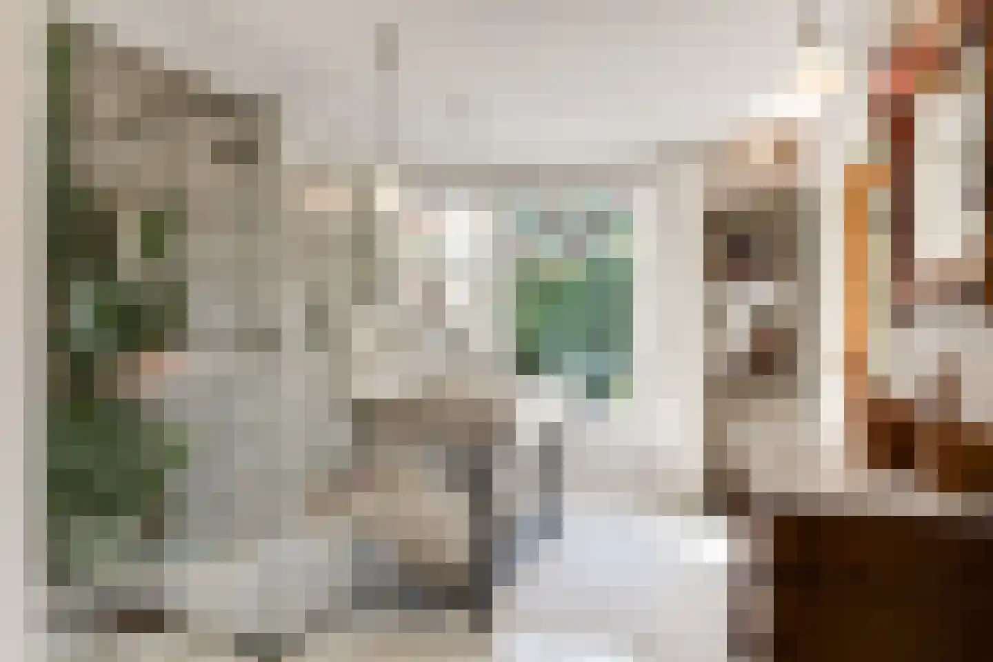 Oude Prinsweg 19 Bergen (NH) thumbnail 28