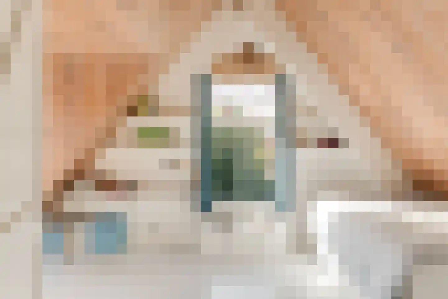 Oude Prinsweg 19 Bergen (NH) thumbnail 36