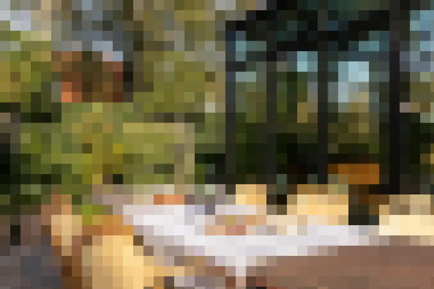 Oude Prinsweg 19 Bergen (NH) thumbnail 42
