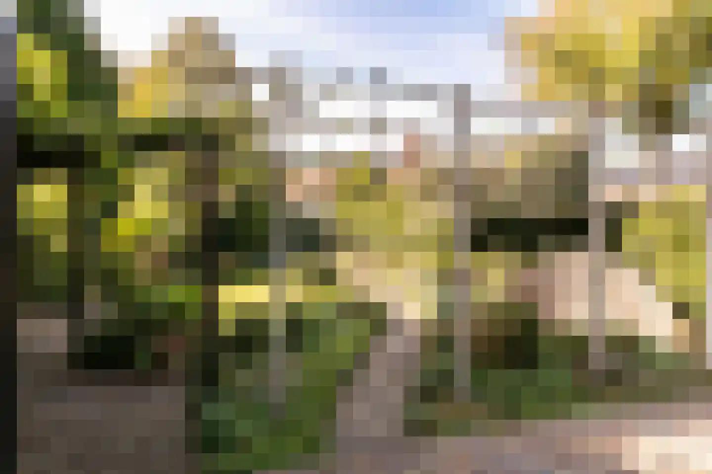 Oude Prinsweg 19 Bergen (NH) thumbnail 46