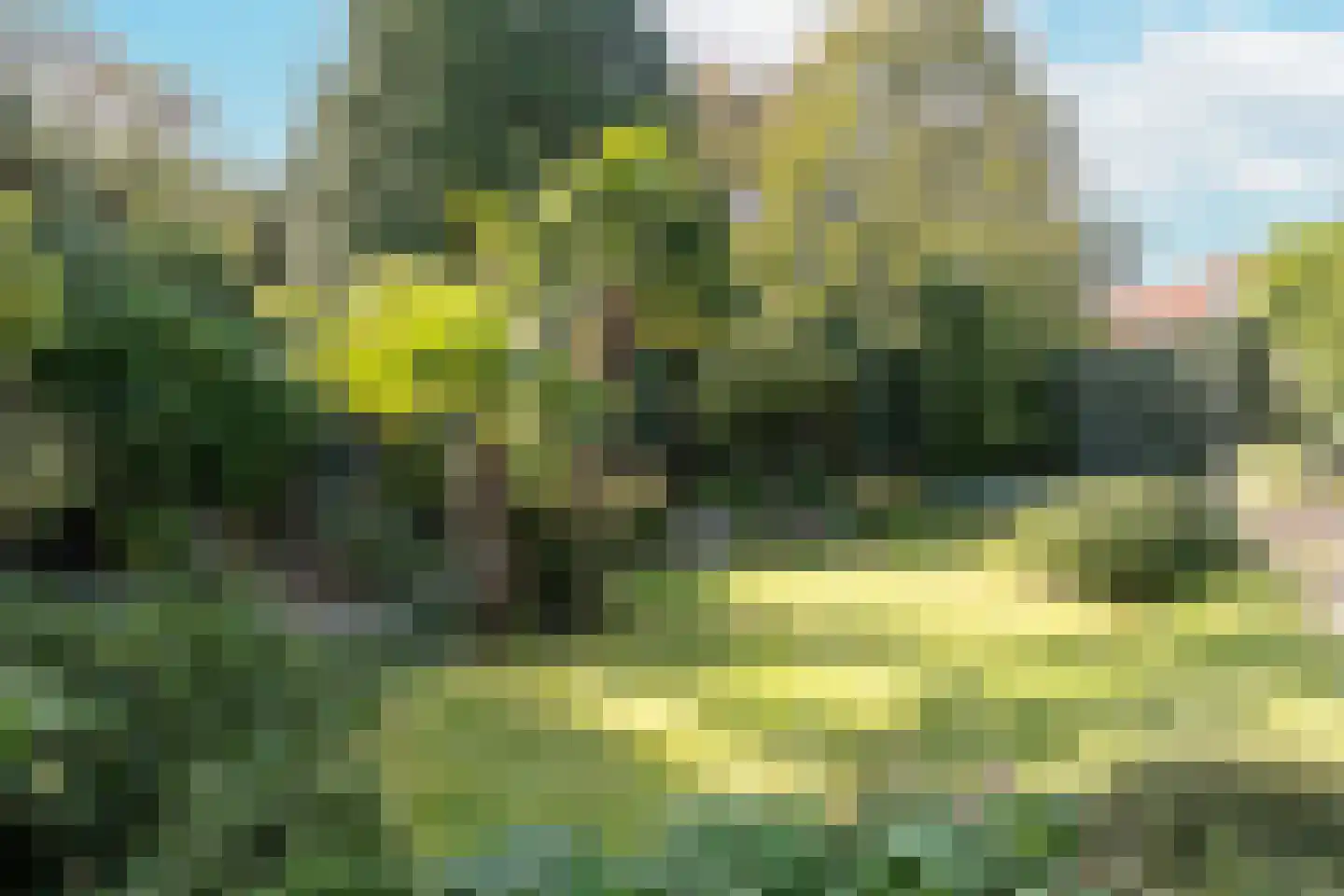 Oude Prinsweg 19 Bergen (NH) thumbnail 47