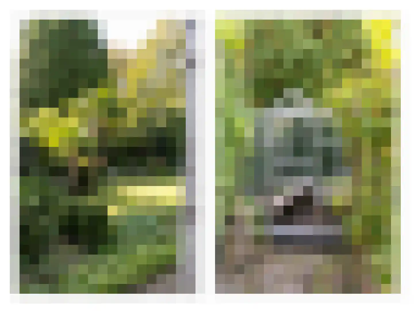 Oude Prinsweg 19 Bergen (NH) thumbnail 49