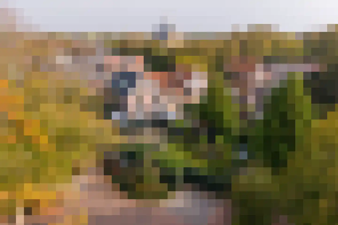 Oude Prinsweg 19 Bergen (NH) thumbnail 52