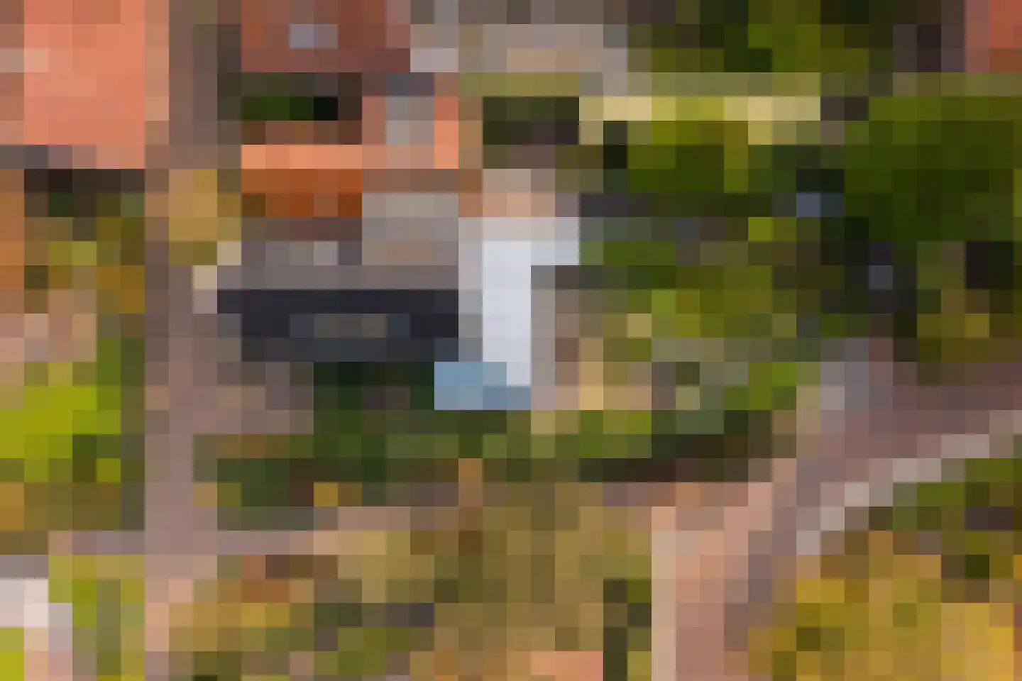 Oude Prinsweg 19 Bergen (NH) thumbnail 53