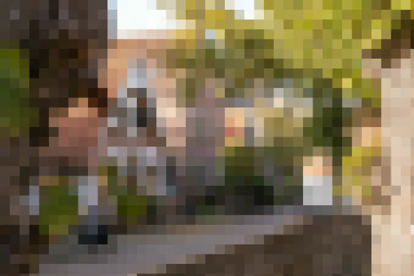 Oude Prinsweg 19 Bergen (NH) thumbnail 59
