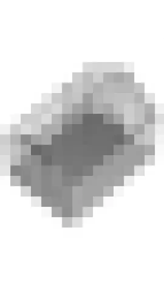 Oude Prinsweg 19 Bergen (NH) thumbnail 73