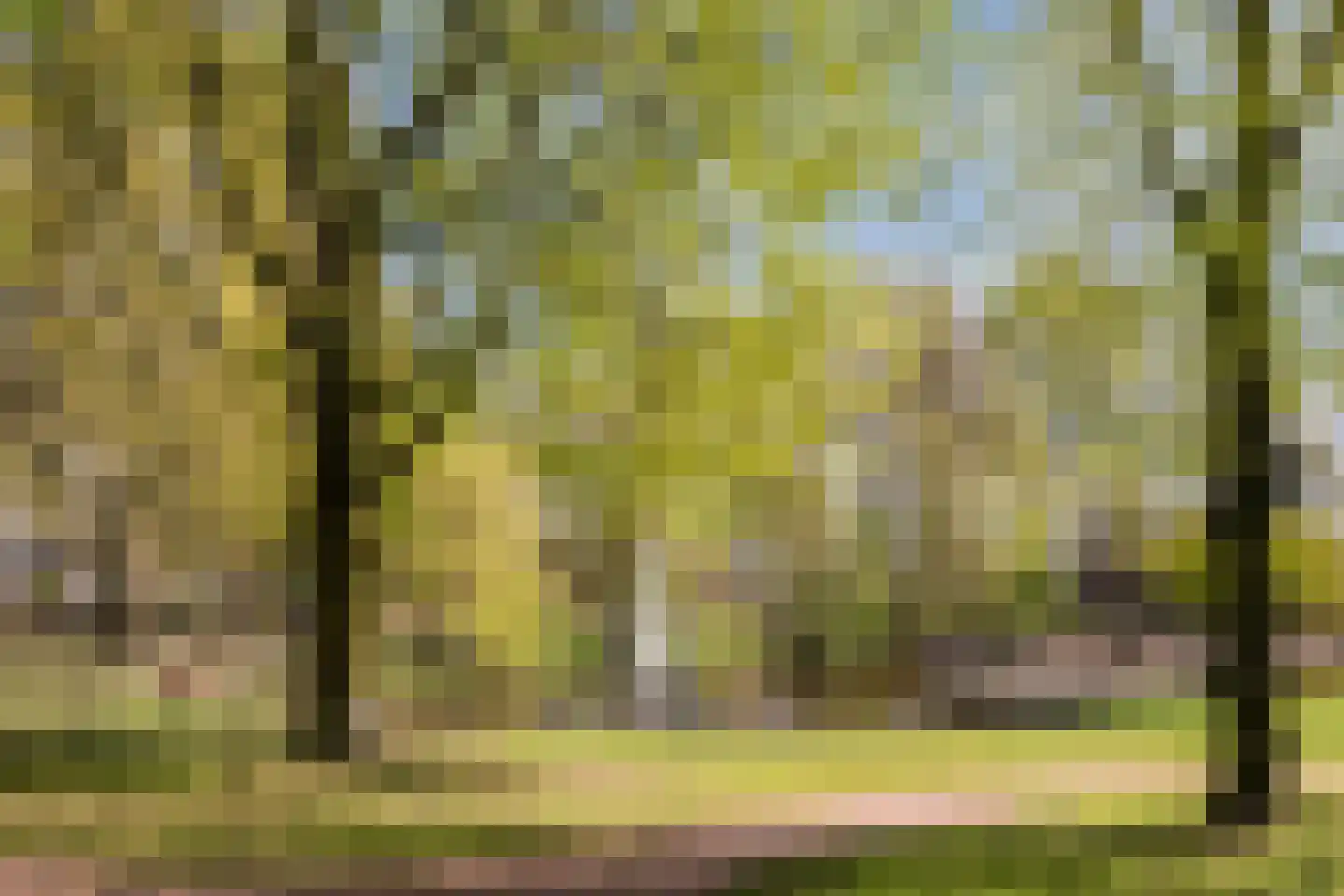 Oude Provincialeweg 13 B Hapert thumbnail 22
