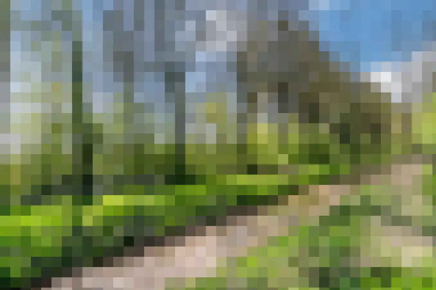 Oude Provincialeweg 13 B Hapert thumbnail 23