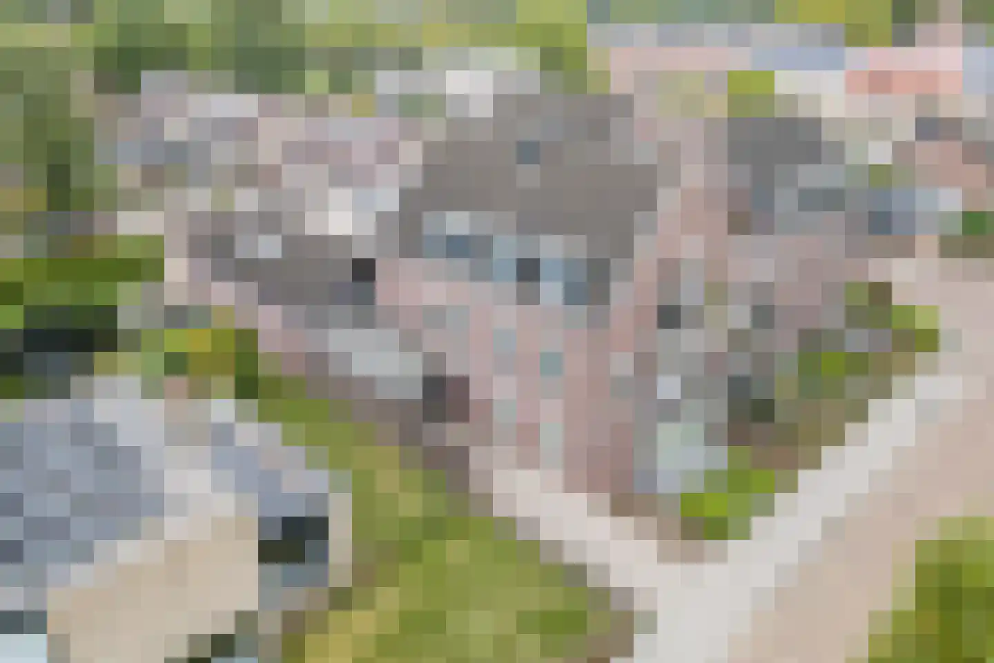 Oude Provincialeweg 13 C Hapert thumbnail 33
