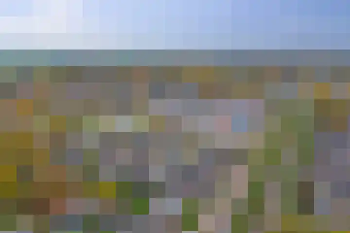 Oude Provincialeweg 13 K Hapert thumbnail 38