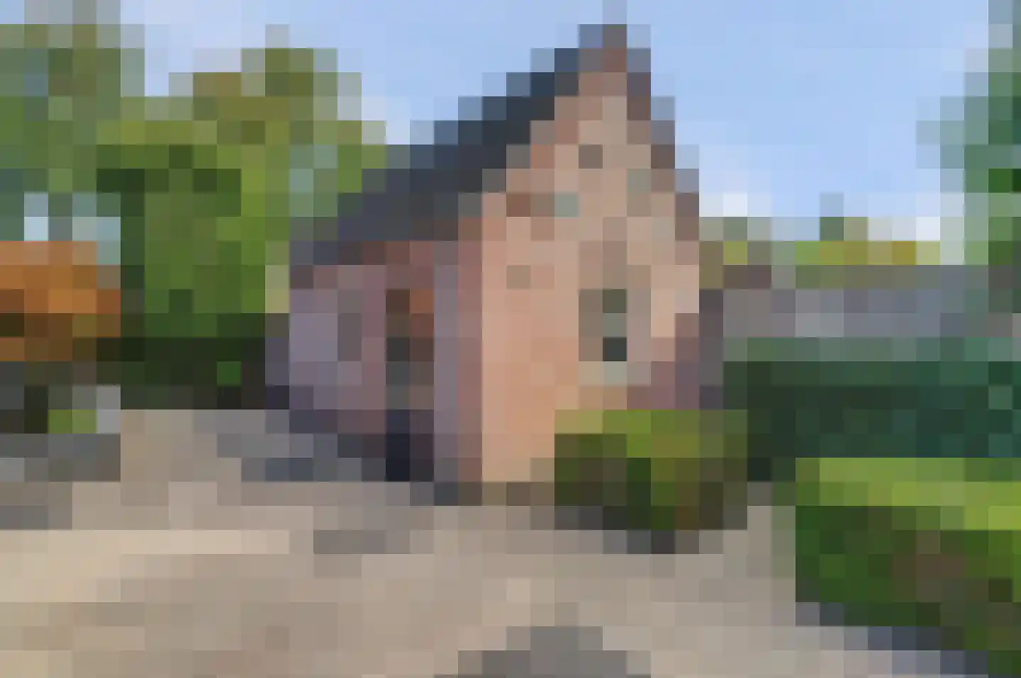 Oude Provincialeweg 18 Hapert thumbnail 54