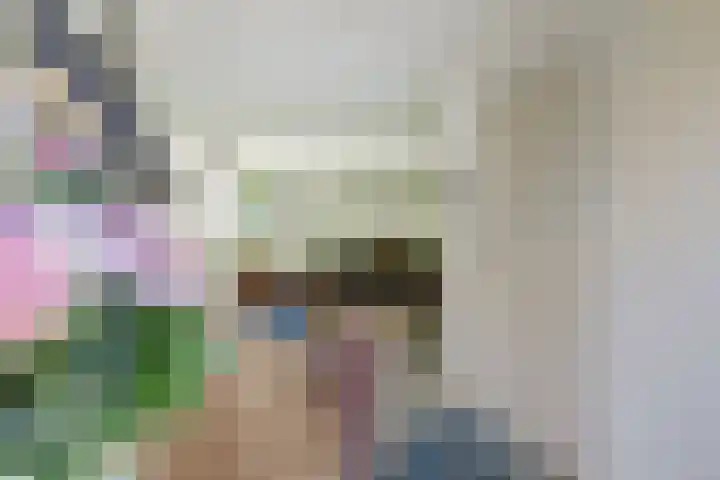 Oude Provincialeweg 20 Hapert thumbnail 12