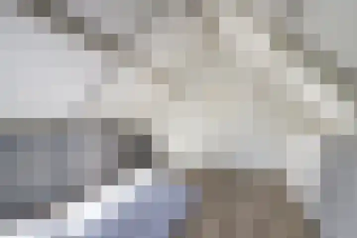 Oude Provincialeweg 20 Hapert thumbnail 34