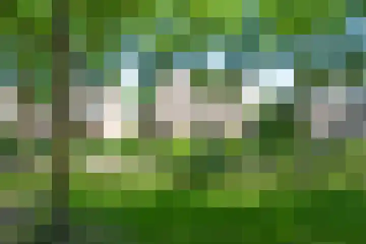 Oude Provincialeweg 20 Hapert thumbnail 53