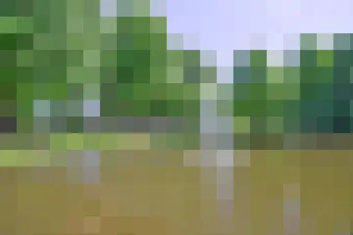 Oude Provincialeweg 20 Hapert thumbnail 56