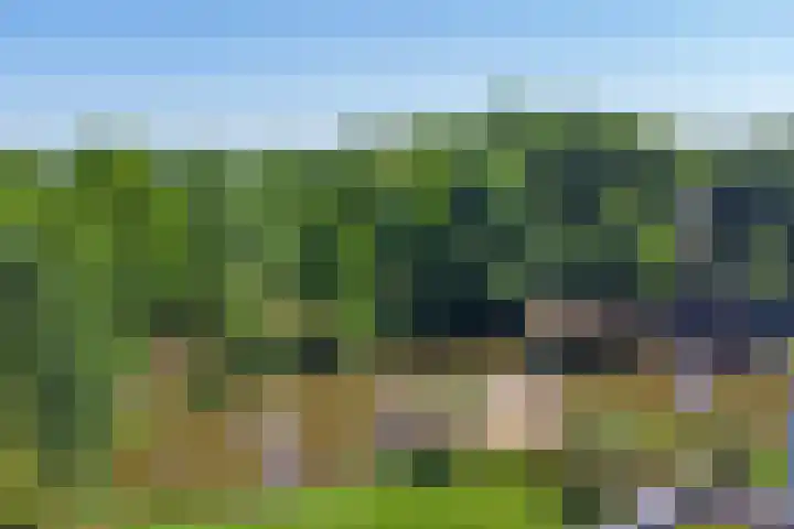 Oude Provincialeweg 20 Hapert thumbnail 57