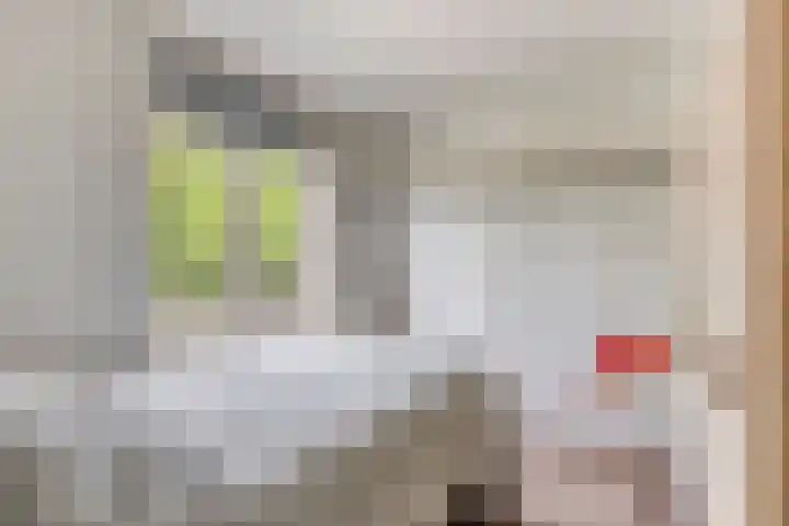 Oude Provincialeweg 5 Hapert thumbnail 18