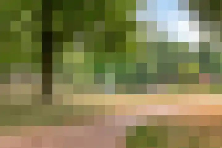 Oude Provincialeweg 5 Hapert thumbnail 30