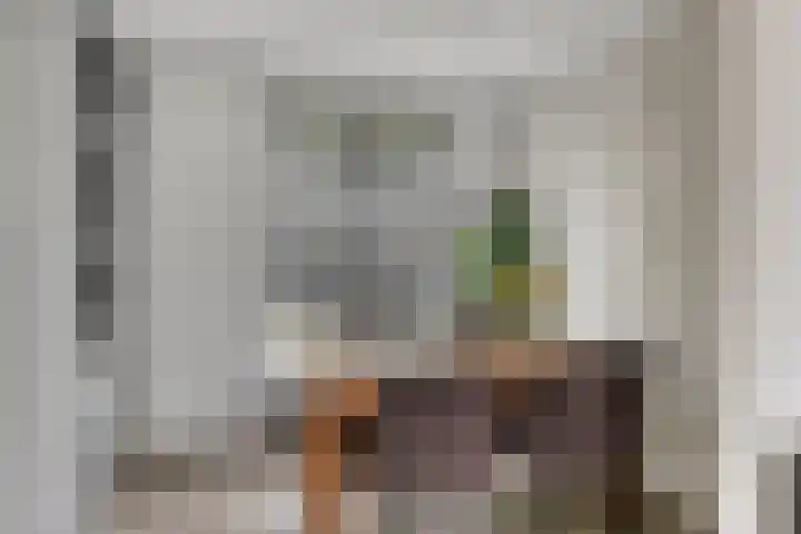 Oude Provincialeweg 5 Hapert thumbnail 6