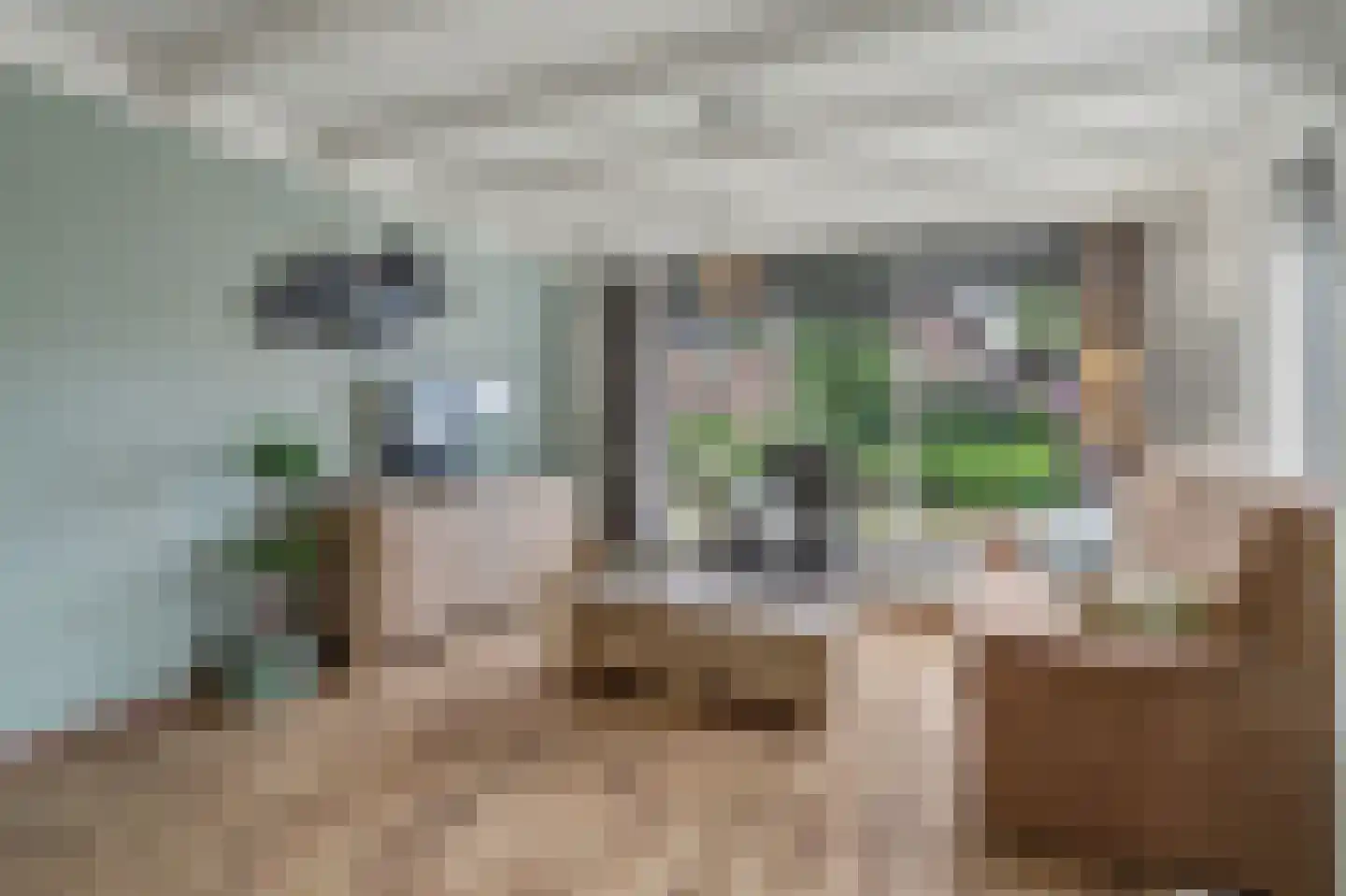 Oude Provincialeweg 66 Hapert thumbnail 10