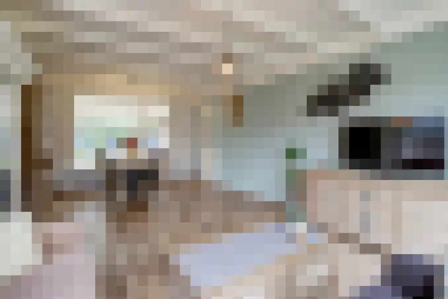Oude Provincialeweg 66 Hapert thumbnail 13