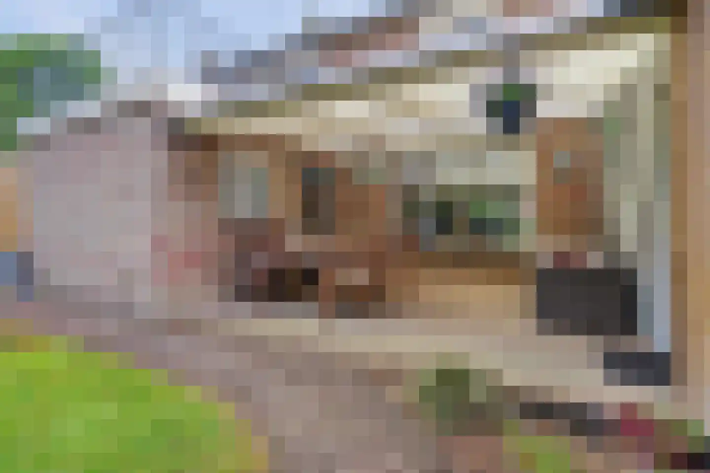Oude Provincialeweg 66 Hapert thumbnail 37