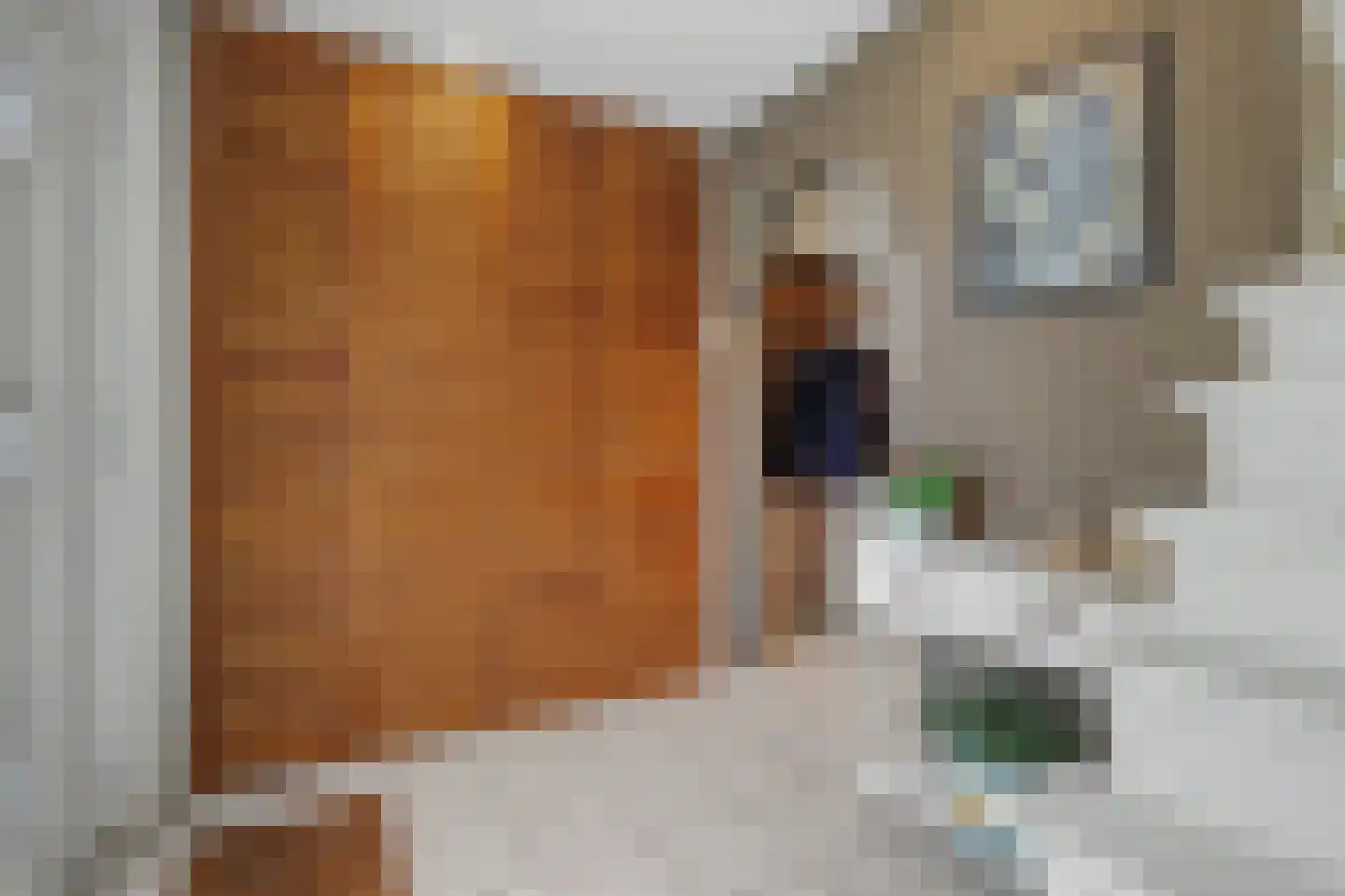 Oude Provincialeweg 66 Hapert thumbnail 6