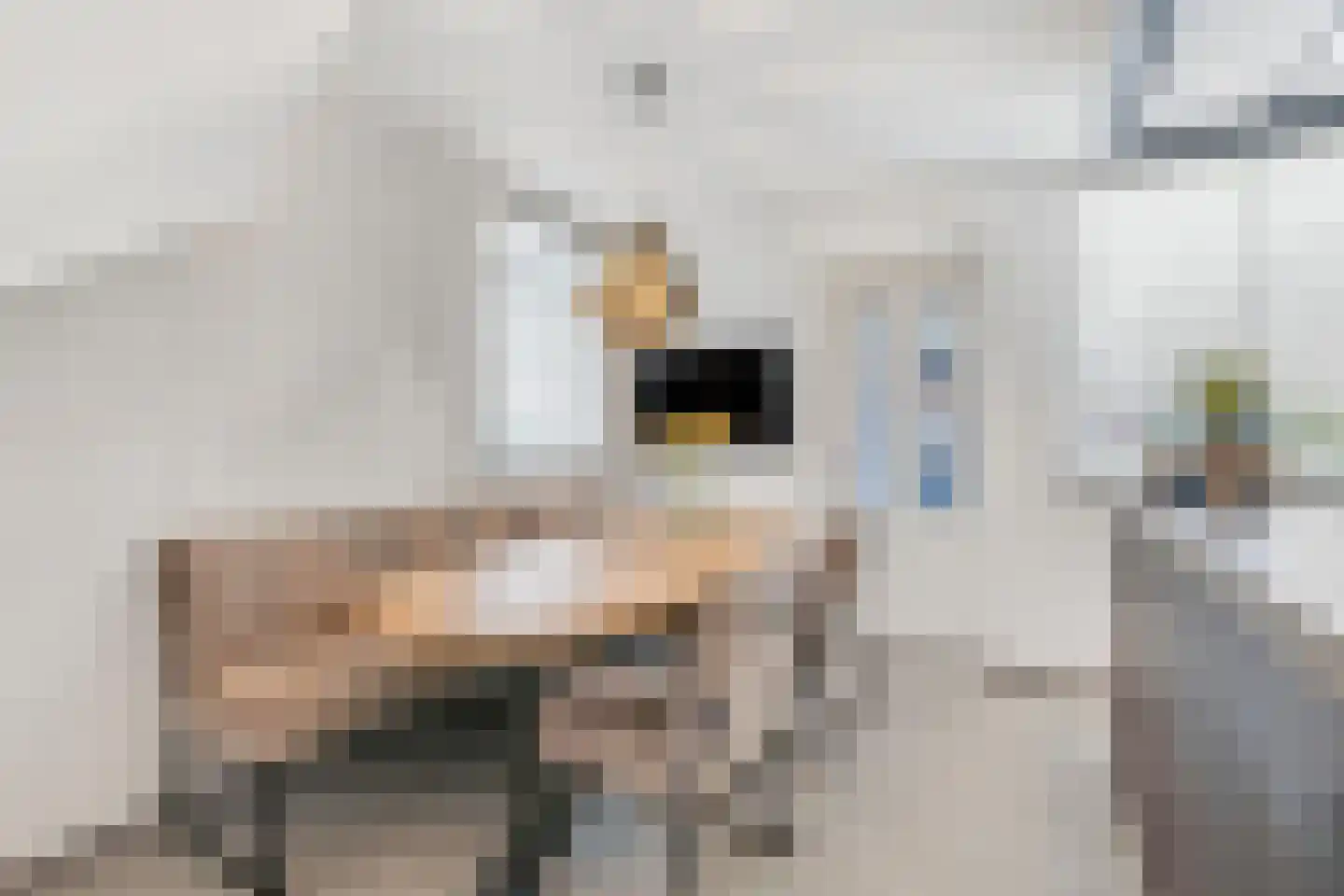 Oude Pyramide 13 Wijk bij Duurstede thumbnail 11