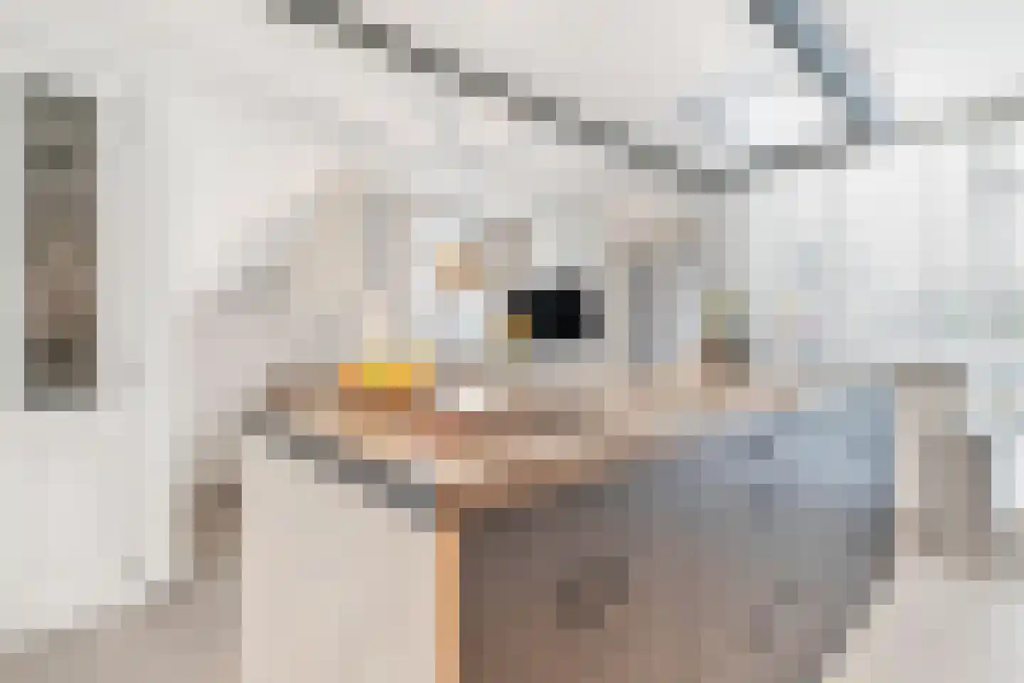 Oude Pyramide 13 Wijk bij Duurstede thumbnail 13