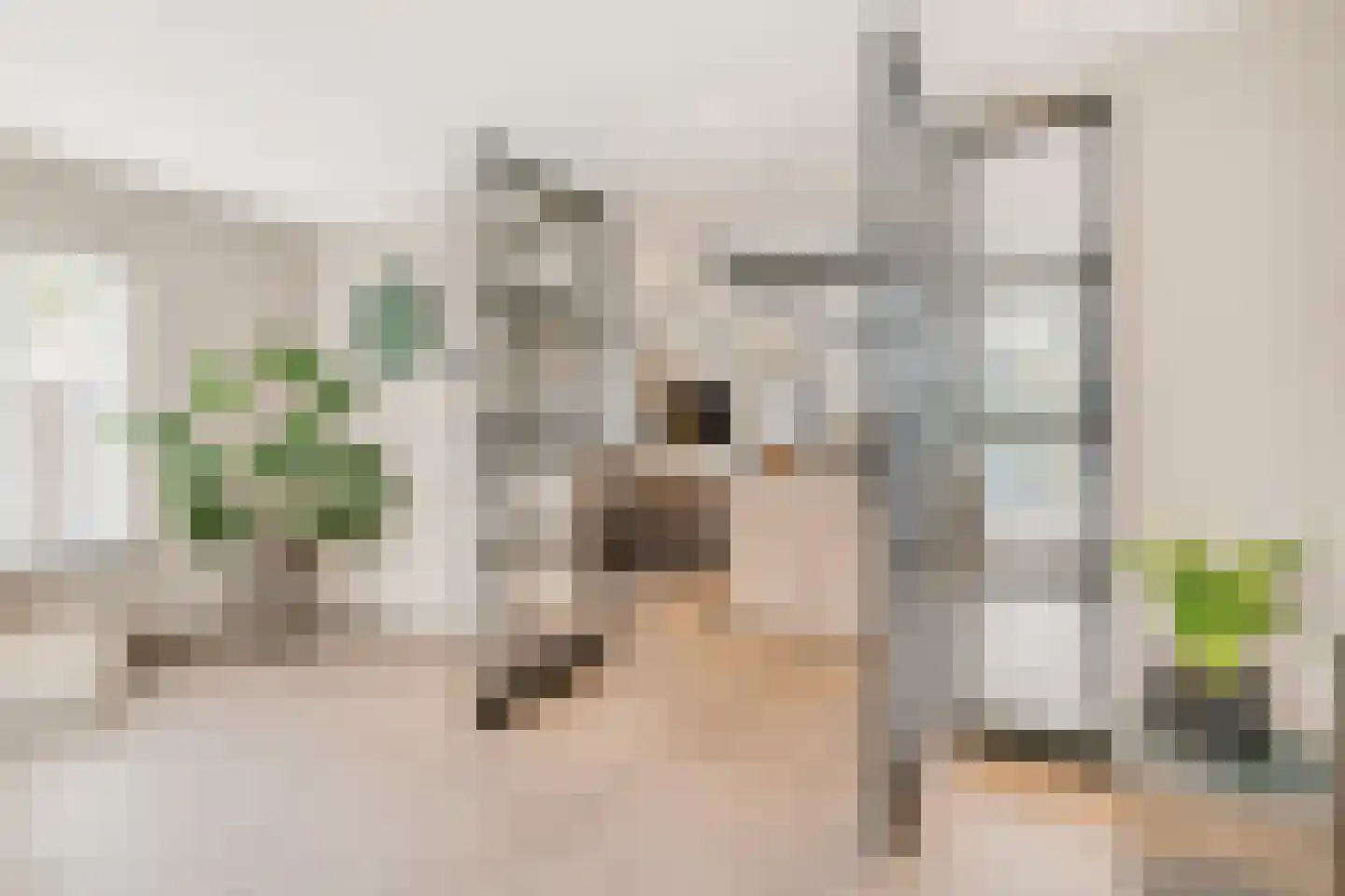 Oude Pyramide 13 Wijk bij Duurstede thumbnail 24