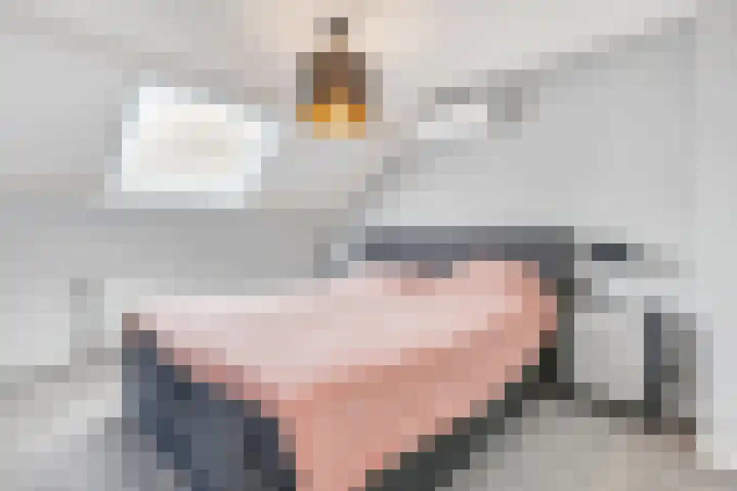 Oude Pyramide 13 Wijk bij Duurstede thumbnail 26