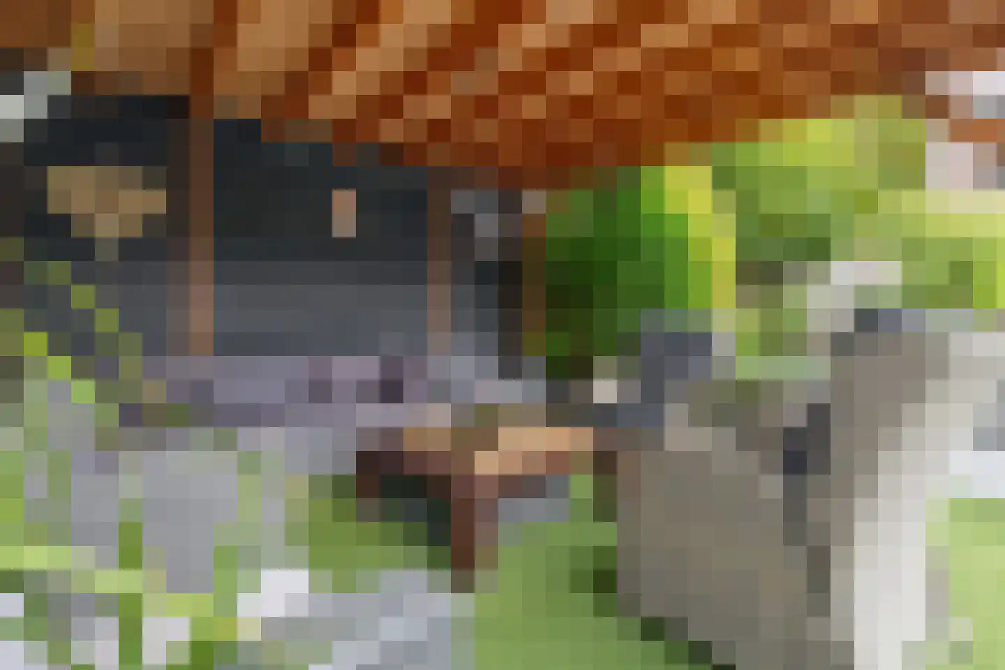 Oude Pyramide 13 Wijk bij Duurstede thumbnail 47