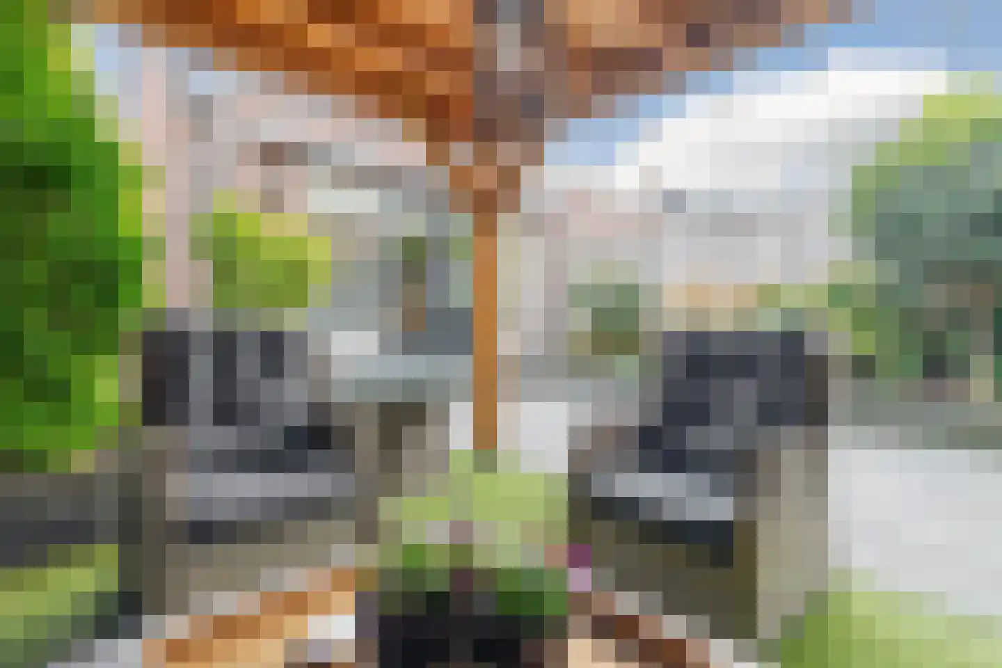 Oude Pyramide 13 Wijk bij Duurstede thumbnail 48